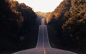 Nature, Trees, Road, Markup, Valley HD wallpaper