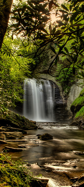 Green Forest Waterfall, nature, waterfall HD phone wallpaper
