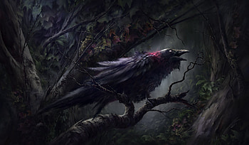 Raven, Animal, Bird, Birds HD wallpaper