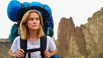Wild (2022) movie HD wallpaper