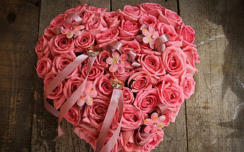 Flowers, Roses, Decorations, Wedding, Bouquet, Bridal HD wallpaper