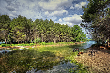Landscape, Nature HD wallpaper