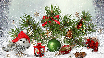 Little Christmas Bird, winter, Feliz Navidad, evergreen, ribbons, stars, Firefox theme, snowflakes, holiday, Christmas, snow, decorations, celebrate, lantern HD wallpaper