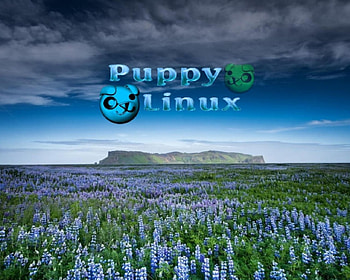 Puppy Linux, v, x, c, y HD wallpaper