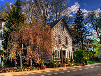 flowery store, store, flowery HD wallpaper