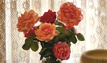 Rose Bouquet F, bouquet, graphy, roses, floral, romance, beauty, still life, wide screen, flower, love HD wallpaper