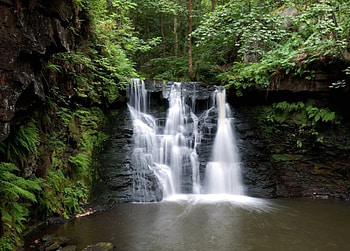 Waterfalls, trees, nature, watefall, water HD wallpaper