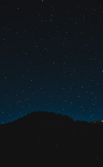 Trees, Sky, Stars, Night, Dark, Shine, Starry Sky, Brilliance HD phone wallpaper
