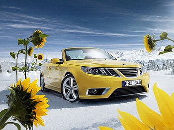 dream of seasons, winter, car, sunflower, yellow HD wallpaper