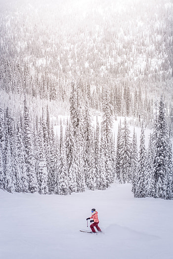 Sports, Winter, Trees, Snow, Snow Covered, Snowbound, Skier HD phone wallpaper