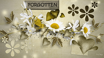 Hearts Desires, tans, forgotten, beige, leaves, abstract, firefox persona, hearts, daisies HD wallpaper
