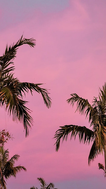 Beach chills, Sunset HD phone wallpaper