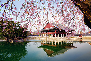 Exciting activities, South Korea bucket list, Must-do experiences, Travel essentials HD wallpaper