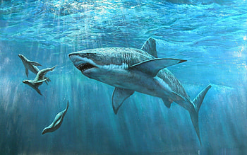Great white shark, paint, shark, under water, water HD wallpaper