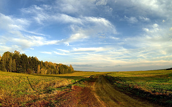 Landscape, Nature, Trees, Sky, Clouds, Horizon, Road, Field, Country, Expanse, Open Spaces, Countryside HD wallpaper