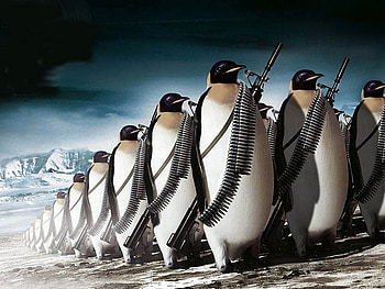 Penguin Army, penguin, fantasy, snow, army, guns HD wallpaper