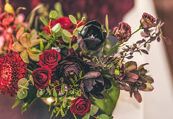 Flowers, Roses, Tulips, Bouquet HD wallpaper