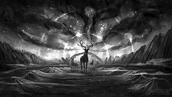Animals, Landscape, Art, Bw, Chb, Fiction, That's Incredible, Creatures HD wallpaper
