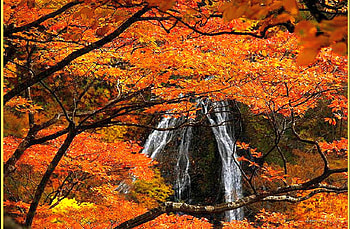 Waterfall in Autumn, , colors, waterfall, autumn, beautiful HD wallpaper