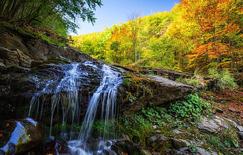 creek in forest, autumn, creek, forest, boulder HD wallpaper