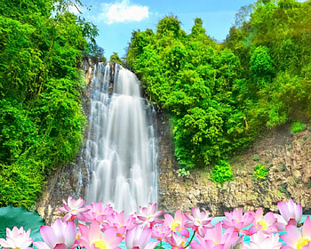 Waterfalls, nature, flowers, mountain HD wallpaper