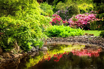 Beautiful park, garden, beautiful, lake, park, summer, reflection, pretty, trees, greenery, flowers, lovely, forest, pond HD wallpaper