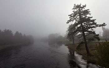 Nature, Rivers, Pine, Slope, Gloomy, Incline HD wallpaper