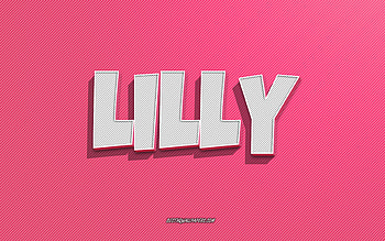 Lilly, pink lines background, with names, Lilly name, female names, Lilly greeting card, line art, with Lilly name HD wallpaper