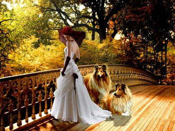 on a sunny autumn day, sunny, day, a, autumn, on HD wallpaper
