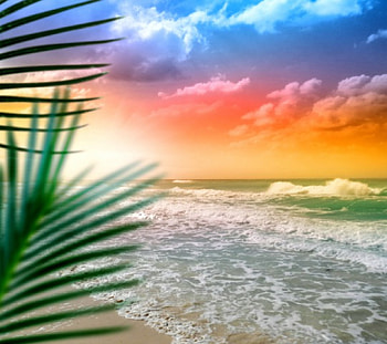 Tropical Paradise, sea, palm, tropical, sky, sunset, ocean, beach HD wallpaper