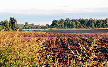 September Field, landscape, Latvia, nature, field HD wallpaper