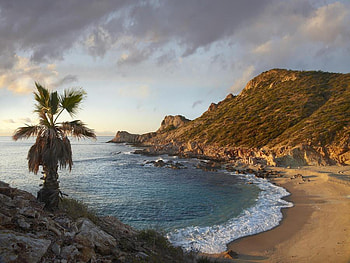 Chelino Bay, shore, sand, bay, tree, mountain HD wallpaper