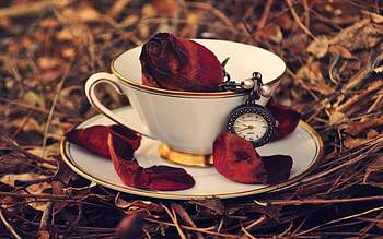 ✿...Late...✿, rose, time, field, clock, flowers, cup HD wallpaper