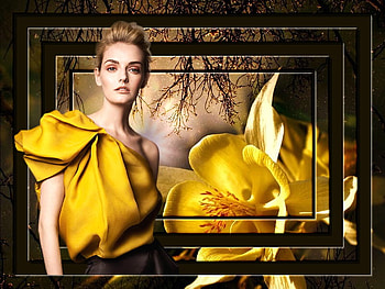 Frame, graphic, collage, flower HD wallpaper