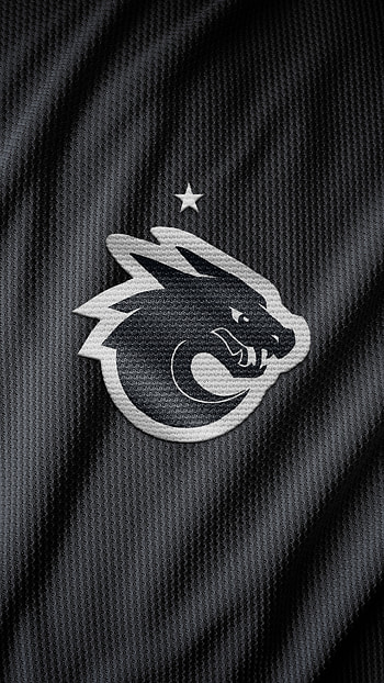 All Knights Esports Gaming Celular, All Knights (eSports), video game, esports HD phone wallpaper