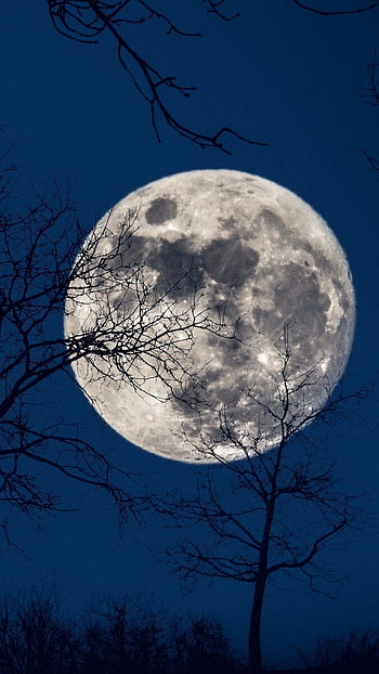 Moon, Sky Blue, Nature HD phone wallpaper
