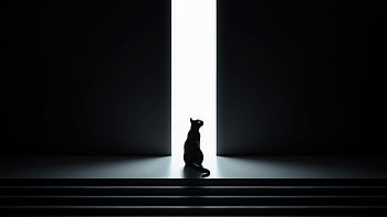The Doorway To The Mysteries Of The Night, cat, dark, black, artist, artwork, digital-art HD wallpaper