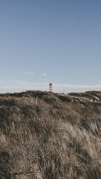 Nature, Grass, Bush, Lighthouse, Tower HD phone wallpaper