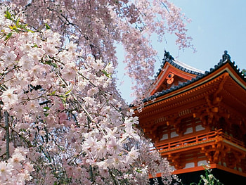 Spring, other, beautiful, nature HD wallpaper