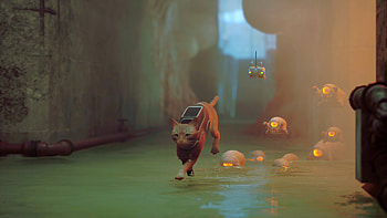 Stray HD wallpaper