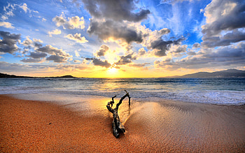 driftwood, sky HD wallpaper
