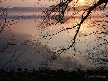 Japanese Sunset, branches, sunset HD wallpaper