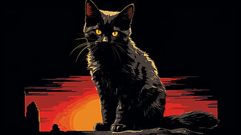 Black Cat Silhouette, Black Cat, Animal, cat HD wallpaper