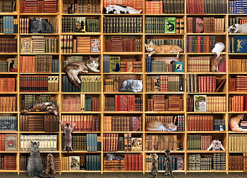 :), art, shelves, book, pisici, cat, library HD wallpaper