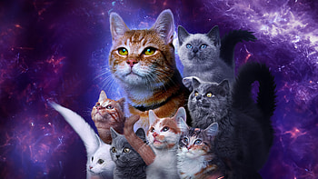 The Marvels: Cosmic Cats Ultra, movie, The Marvels HD wallpaper