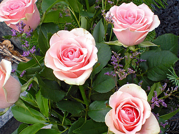 Flowers, Roses, Leaves, Bouquet HD wallpaper