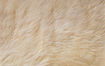 Decor Fur Rug Faux Sheepskin Sheep Skin HD wallpaper