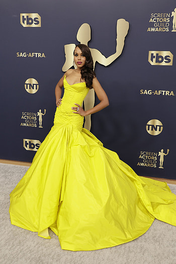 SAG Awards, Red carpet, Sag awards, Carpet looks HD phone wallpaper