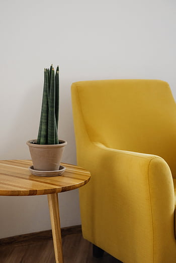 Modern living room with a yellow armchair and a potted snake plant on a wooden table. HD phone wallpaper