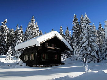 Vigljoch, South Tyrol, Italy, sunlight, firs, snow, landscape, cabin HD wallpaper